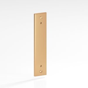 Colonial Bronze Series 9949 21 in Matte Satin Bronze (M10)