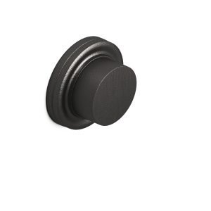 Colonial Bronze ER110 Series 25 in Frost Black™ (19F)