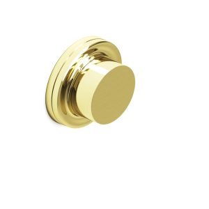 Colonial Bronze ER110 Series 2 in Unlacquered Polished Brass (3A)