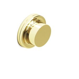Colonial Bronze ER110 Series 1 in Polished Brass (3)